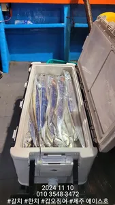 제주에이스호!!(9일)대갈치조황입니다.문의 010 3548 3472~010 3860 3472{전좌석봉돌투승기장착}9.77톤22인승{12석운영}