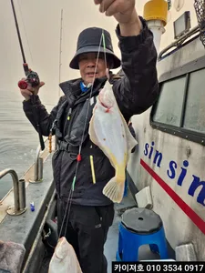 26일)오전 도다리참가자미 조황!