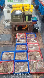 제주에이스호!!(4월9일)심해갑오징어조황입니다010 35483472~010 3860 3472{9.77톤22인승16석운영