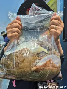 15일)오늘도 대타작 이네유~