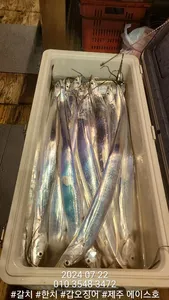 제주에이스호!!(21일)갈치조업입니다. 문의 010 3548 3472~010 3860 3472