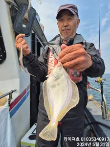 31일) 완전 어마어마 합니다