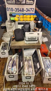 제주에이스호!!(11일)대갈치보황입니다.문의010 3548 3472~010 3860 3472(전좌석봉돌투승기장착9.77톤12석운영)