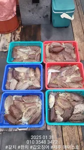 제주에이스호!!(31일)갑이조항입니다..문의 010 3548 3472~010 3860 3472{9.77톤22인승14석운영}