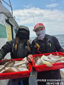 2일) 퍼내고 왔어요 타작 왕도다리 참가자미 !!