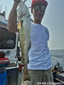 왕대구 쿨러 빽빽합니다