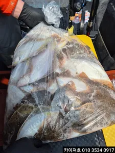 10일 오전 도다리참가자미 타작이예요