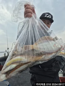 30일)오전 도다리참가자미 대박~!!
