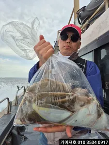 왕도다리참가자미 금토일 모집중 입니다