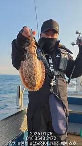 제주에이스호!!(1월25일)뚱갑이조황입니다010 35483472~010 3860 3472{9.77톤22인승14석운)청결은보장