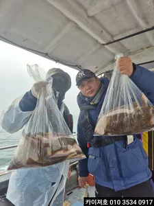 6일 오전 우중의 왕도다리 참가자미 대박~!!