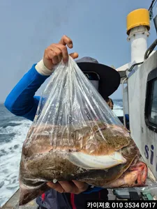 3일)오전 도다리 참가자미 조황~!!