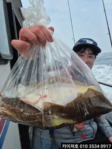 1일 오전 도다리 참가자미 조황