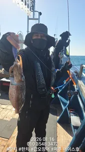 제주에이스호!!(1월16일)갑이조황입니다010 35483472~010 3860 3472{9.77톤22인승14석운)청결은보장