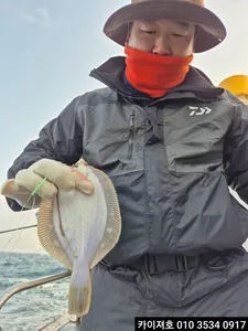 29일 오전 도다리참가자미 타작~!