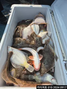 11일 오전 왕도다리참가자미 엄버지기~!!