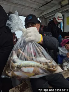 25일 오전 도다리 참가자미 기본이 3걸이 ~