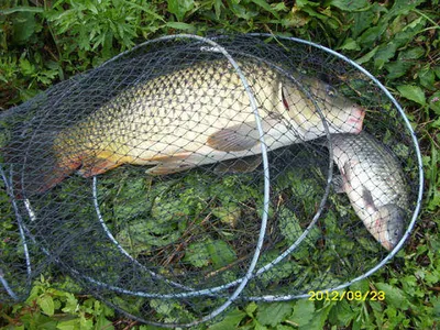 "부연지" 9월넷째 주말 부연지!!