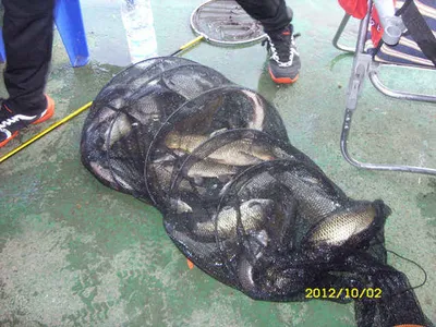 "부연지" 추석 연휴 시리즈"one" (10월1일~2일)