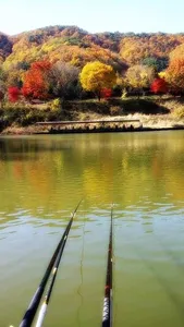 여주시 관광농원낚시터