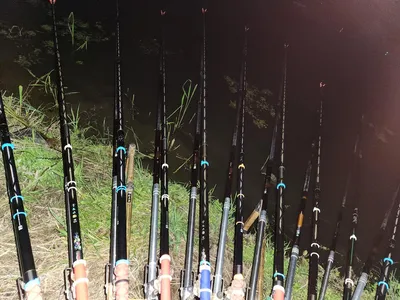 남양호 진위천 조황 소식