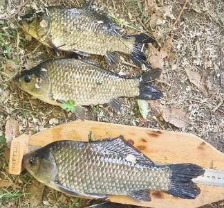 유월의 경산권 저수지 모습