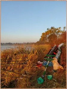 진위천 조황 소식