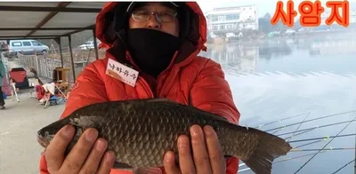 고삼,사암,두창지---주말 조황