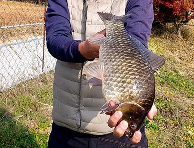 겨울의 시작-붕어낚시 한해를 마무리 하면서