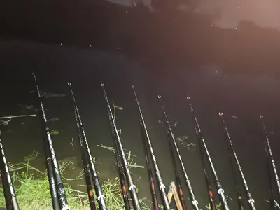 진위천 평택호 남양만 조황 소식