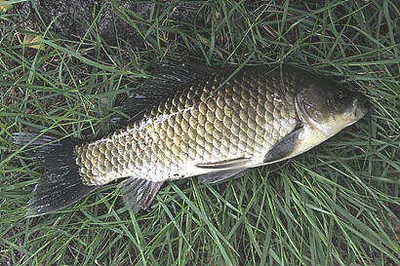 7월 중순-다나스를 맞는 주말