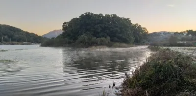 고삼지==추워도 붕어들은 나옵니다