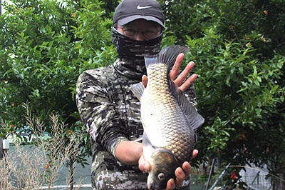 장마-유월의 마지막 주말 입니다.