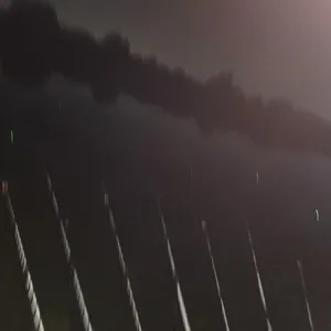 진위천 남양호 평택호 조황 소식