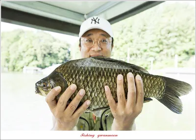 화곡지 오름수위 호조황..