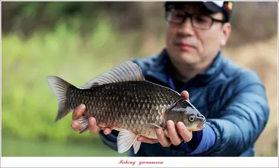 화곡지 4 짜 조황..