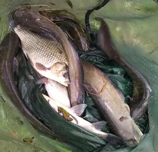 무료터 청미천 4짜의 모습