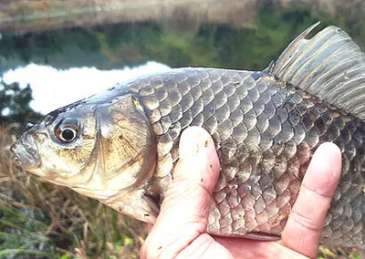 시월의 마지막 주말을 맞으며......