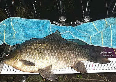 추분과 타파가 지난뒤 저수지 분위기