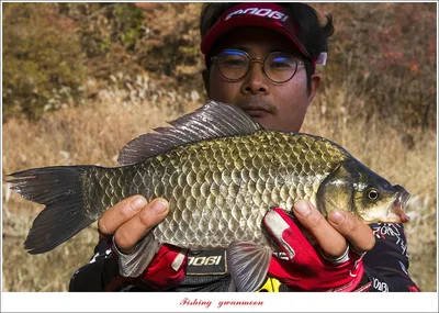 돌감 4 짜..달천강..대제지 4 짜 조황..