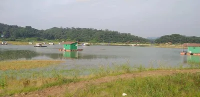 [고삼지] 주말 조황입니다