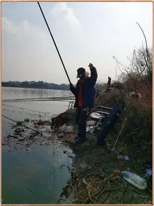 진위천 조황 소식