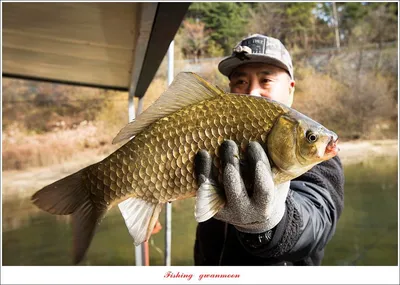 솔 4 짜 및 월척 조황..