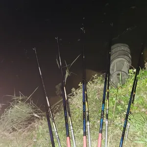 평택호 진위천 조황 소식