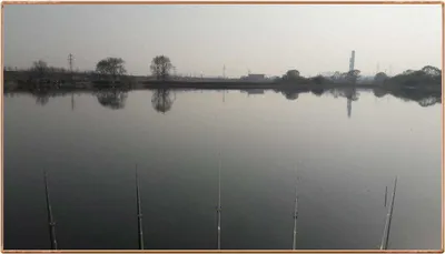 진위천 조황 소식