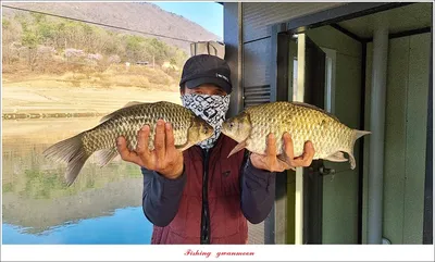 솔 4 짜..화곡지 4 짜..용원지..소이지..대제지 조황..