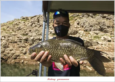 목벌 낚시터 4 짜 행진..