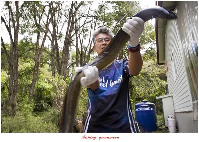 솔 4 짜 대물 및 꽃바위 2 kg 대물 장어 조황..