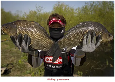 용원지 4 짜 대물 조황..