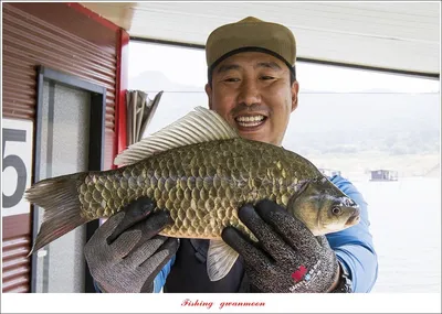 솔 42 cm..목벌 41 cm ...오름수위 전 대물 조황..